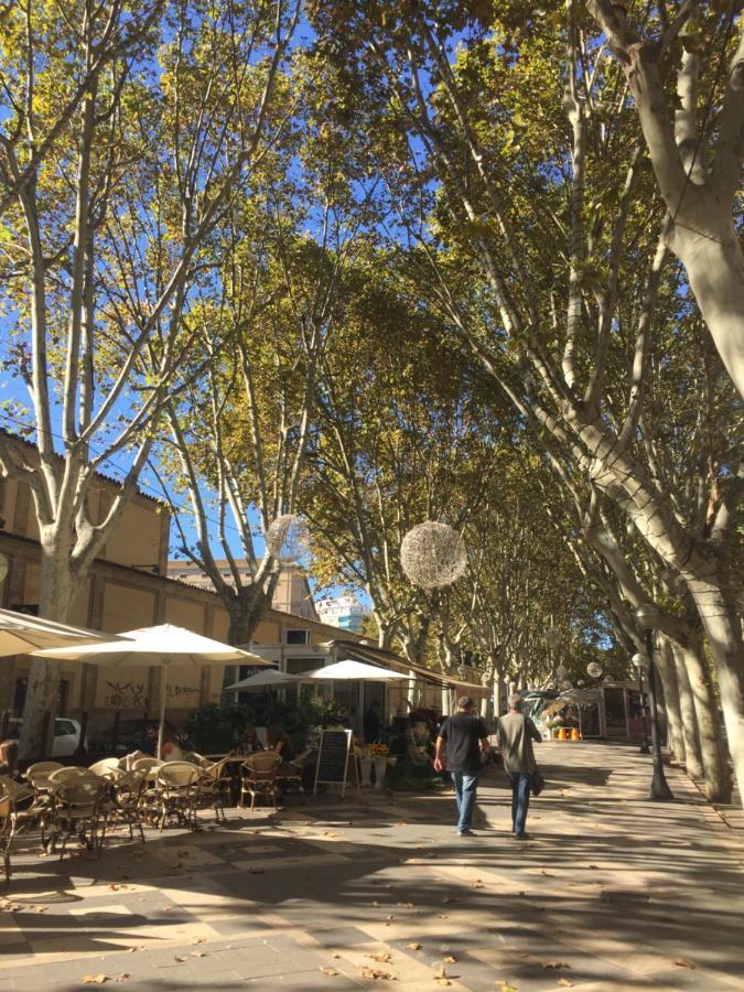 Cream Homes La Rambla, Turismo De Interior