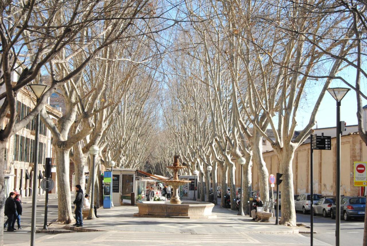 Cream Homes La Rambla, Turismo De Interior Palma
